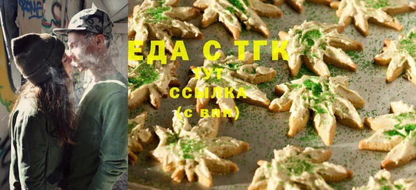 стаф Аркадак