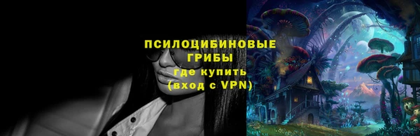 бошки Армянск