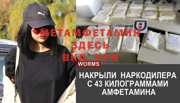 стаф Аркадак