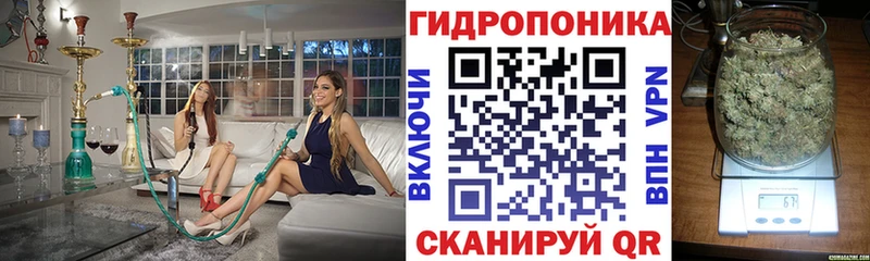 купить наркотик  Себеж  Бошки Шишки Bruce Banner 